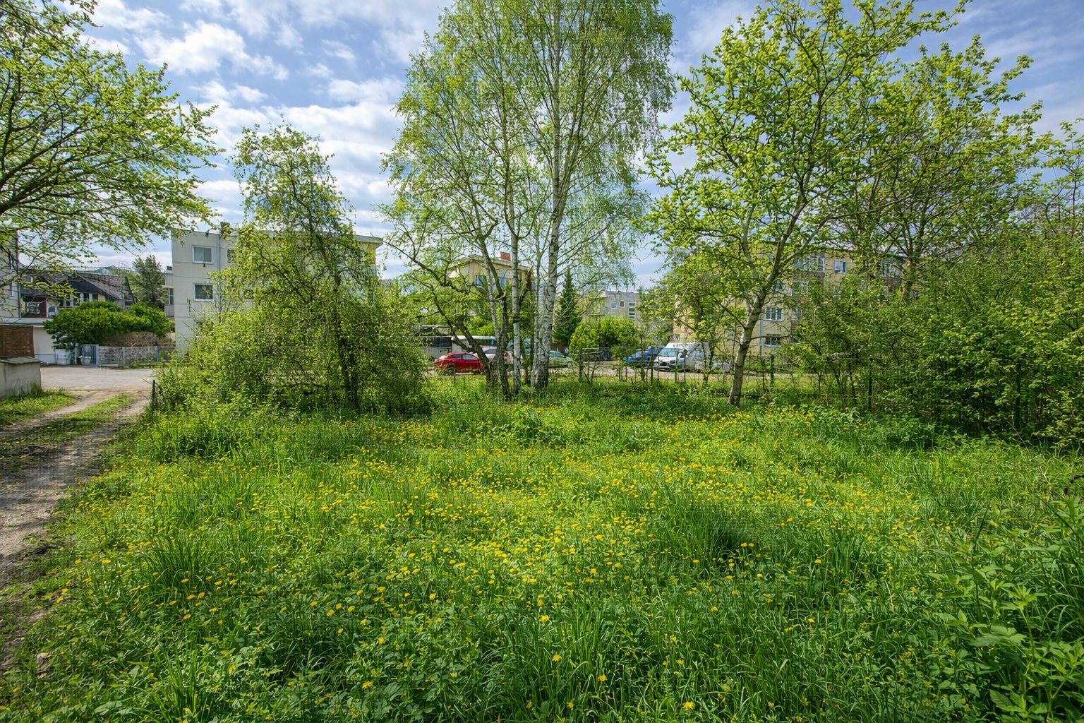 Widok działki i otoczenia