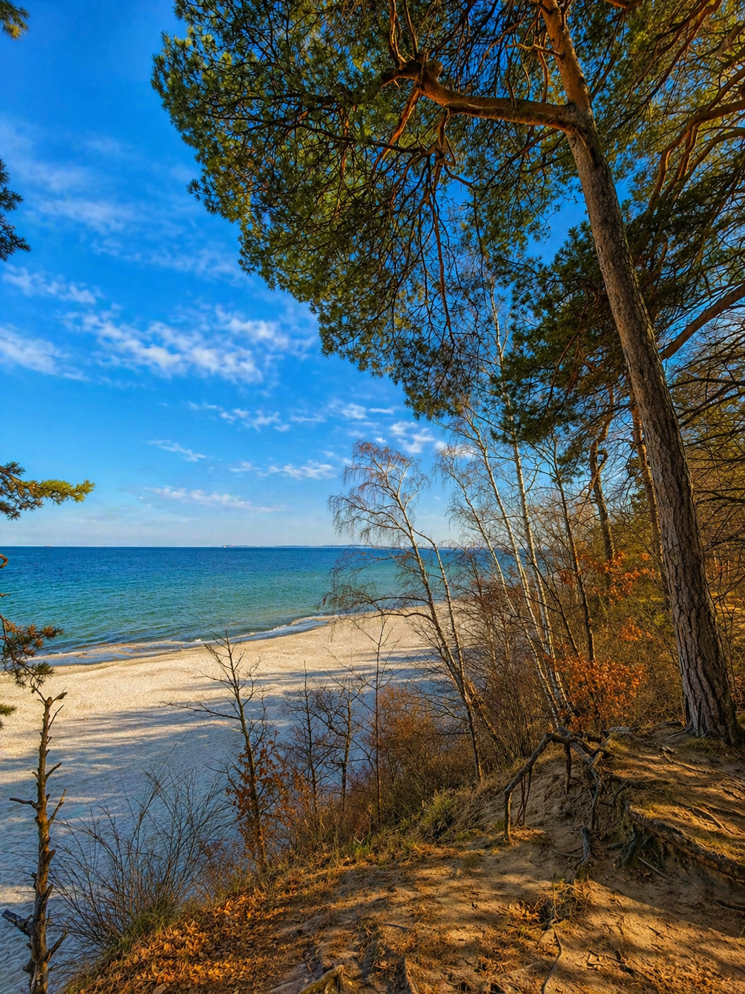 Klif i plaża w Orłowie